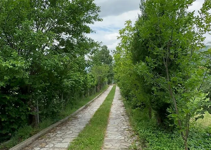 Bujtina Gjana