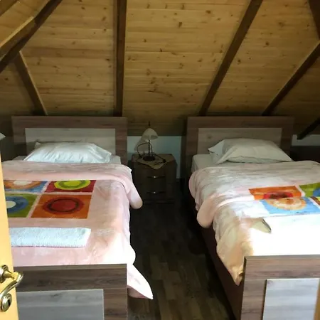 Bujtina Gjana Guest house *