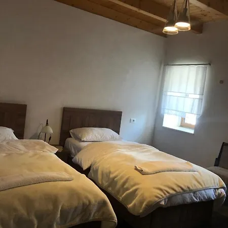 Guest house Bujtina Gjana *