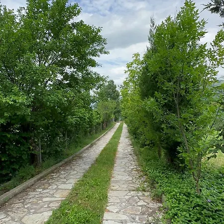 Bujtina Gjana